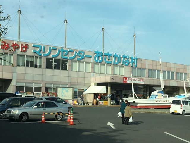 マリンセンターおさかな村_マリンセンターおさかな村