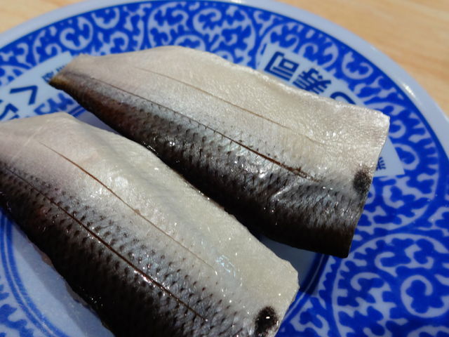 こはだ_くら寿司 小田原下大井店