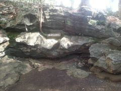 チー婆くんandガスパールくんさんの三島市立公園 楽寿園への投稿写真1