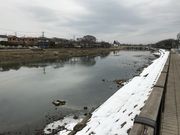 topologyさんの古利根川の投稿写真1