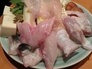 世田谷区等々力の住人さんのとらふぐ亭 本八幡店の投稿写真1