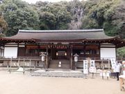 こぼらさんの宇治上神社本殿・拝殿の投稿写真1