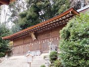 こぼらさんの宇治上神社本殿・拝殿の投稿写真1