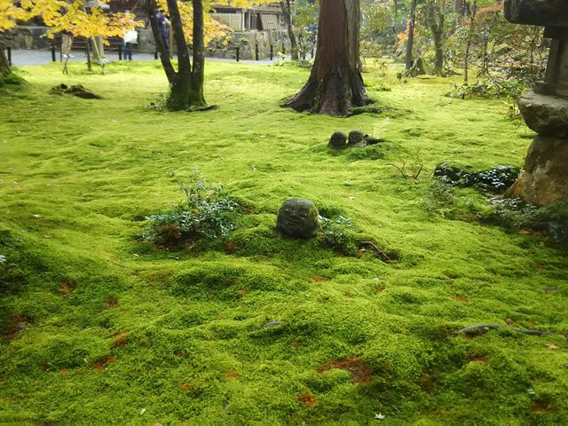 お地蔵さん_京都大原三千院