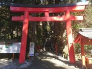 菊ちゃんさんの箱根神社の投稿写真1