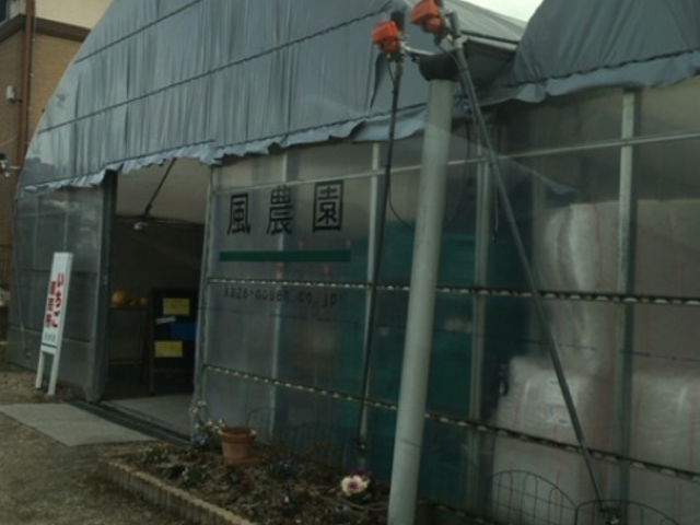 市街地にあり、ハウス内は手入れが行き届いてます。
_風農園直売所