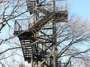 もぐらドンチャックさんの高取山の展望台の投稿写真3