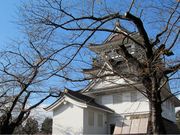 北の隠居さんの横手公園展望台の投稿写真1