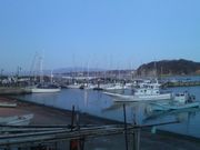 さとけんさんの葉山港の投稿写真2