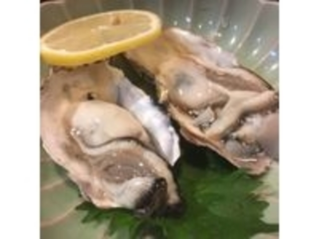 赤穂の生牡蠣_小料理 野本 のもと