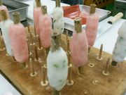 shyさんの土佐魚菜市場本店の投稿写真1