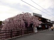 ZUNDAMさんの石橋屋の投稿写真1