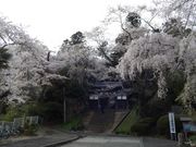 ZUNDAMさんの大年寺山公園の投稿写真1
