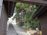 ZUNDAMさんの大年寺山公園の投稿写真2