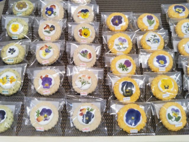 usaさんの道の駅 白浜野島崎の投稿写真1