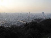 すずめめだかさんの足立公園展望台の投稿写真1