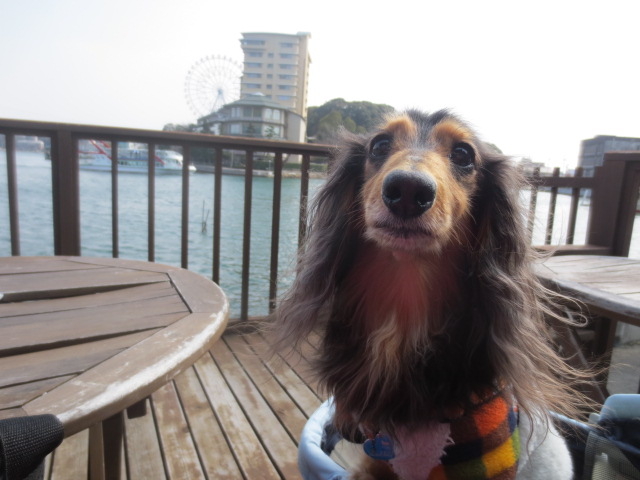 すーしんまんさんの舘山寺園の投稿写真3