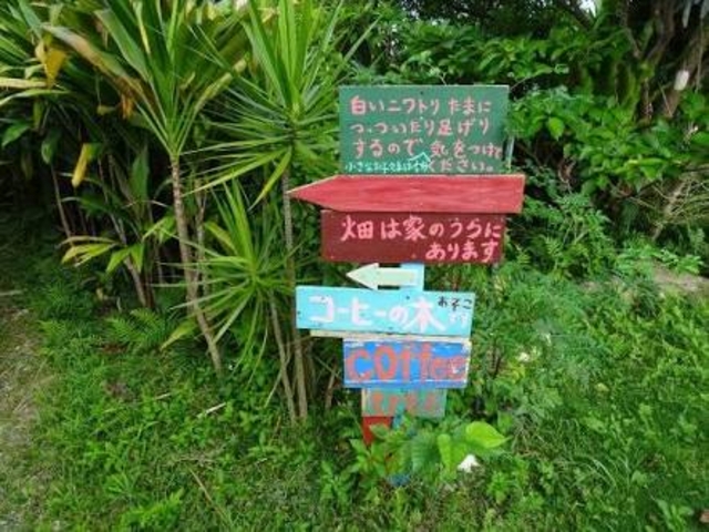 全体的に可愛いつくり_ヒロ、コーヒーファーム