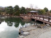 もりもりももちゃんさんのあがたの森公園の投稿写真3