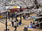 Tomさんの千葉市立郷土博物館の投稿写真2