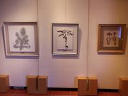 たかちゃんさんのアートホール東洲館の投稿写真2