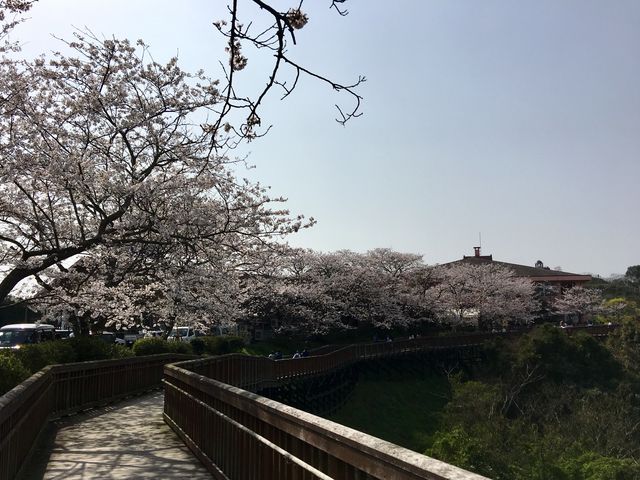 西海橋物産館へ。_西海橋物産館