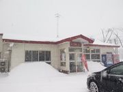 江戸家化猫さんの天下一番保戸野店の投稿写真1