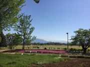 あかさたなさんの赤坂台総合公園の投稿写真1