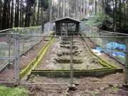 JOEさんの岸岳古窯跡の投稿写真1