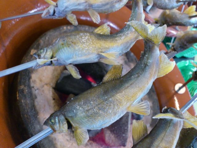 レストラン庄川荘_レストラン庄川荘