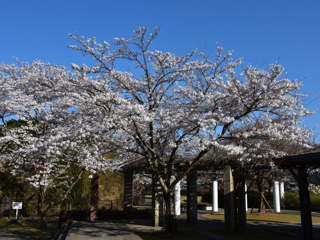御橋観音公園_御橋観音公園