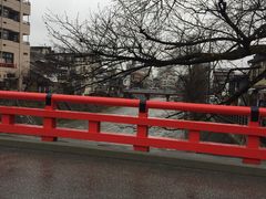 ELLEさんの中橋への投稿写真1