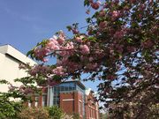 poporonさんの造幣博物館の投稿写真3