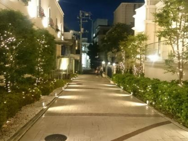 アニヴェルセル表参道_アニヴェルセル表参道