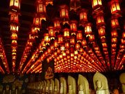 わたるっちさんの大聖院の投稿写真2