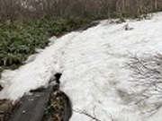 kekeさんの御在所沼・赤沼の投稿写真1