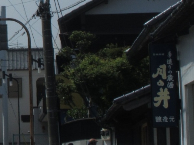 アリスさんの(株)月の井酒造店の投稿写真1