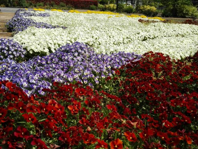 春_花と音楽の館かわさと「花久の里」