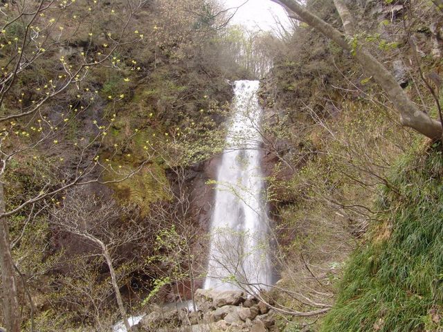 不動滝 下りた処_高湯不動滝遊歩道