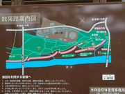 okeiさんの水林自然林の投稿写真3