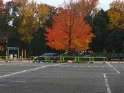 りすさんの水元公園グリーンプラザの投稿写真1