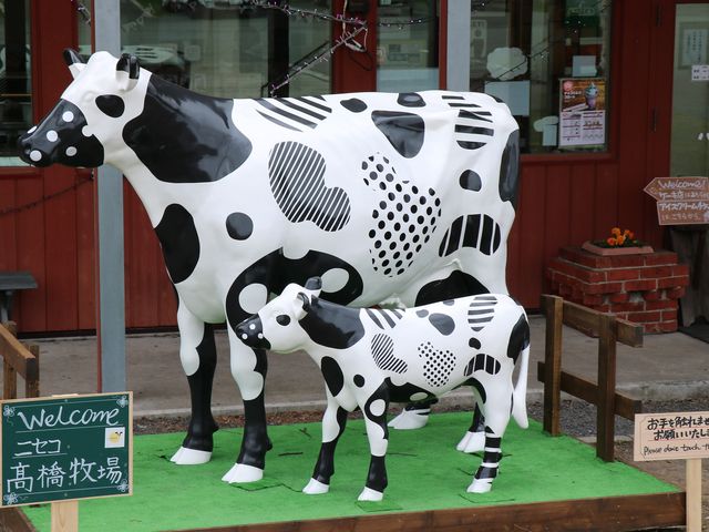 牛の親子_高橋牧場ニセコミルク工房