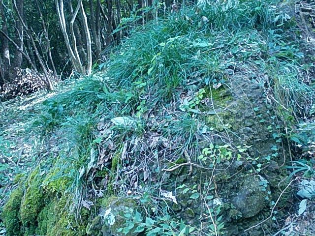 ぶんたさんの八畳岩の投稿写真1