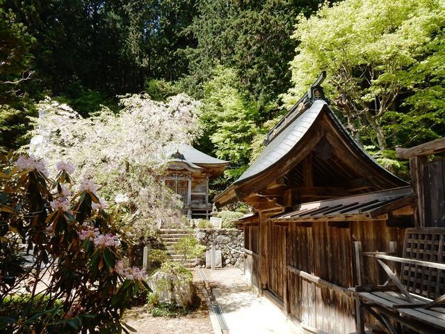 w-masaさんの栗尾山満願寺の投稿写真2