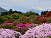 セイコさんの山のホテル庭園の投稿写真6