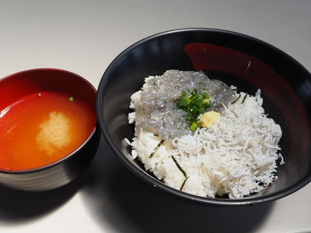 ハーフ&ハーフ丼_田子の浦漁協食堂
