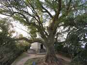 キヨさんの元宇品公園の投稿写真2