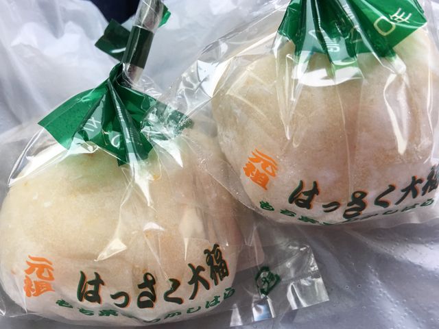 もち菓子のかしはらのはっさく大福_もち菓子のかしはら
