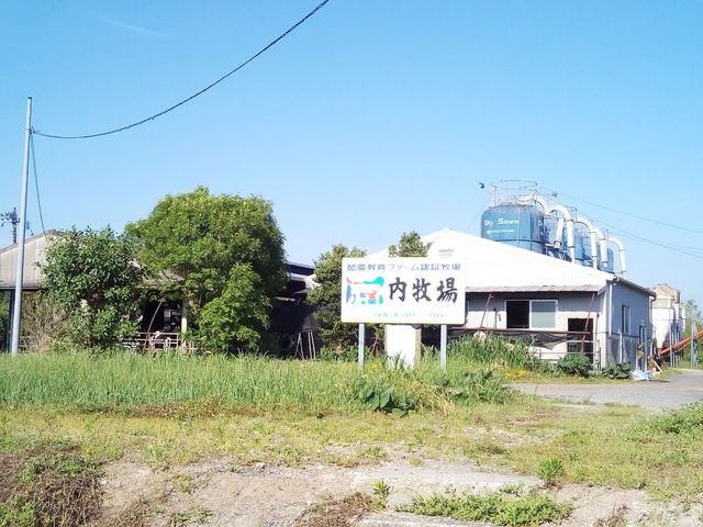 すぐ隣に牧場が_ジェラート工房Pace