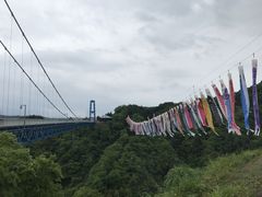 竜神大吊橋の写真1